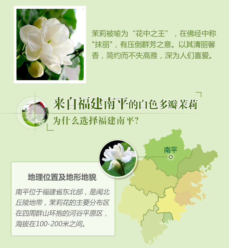 秘密花园茉莉鲜活水