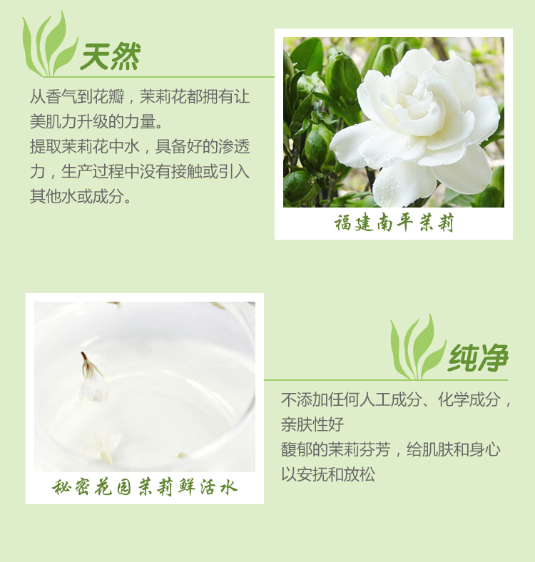 秘密花园茉莉鲜活水