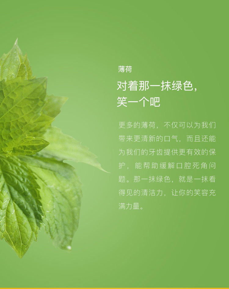 天然蜂胶牙膏礼盒装