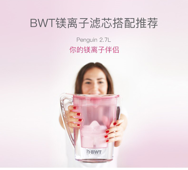 BWT镁离子滤芯