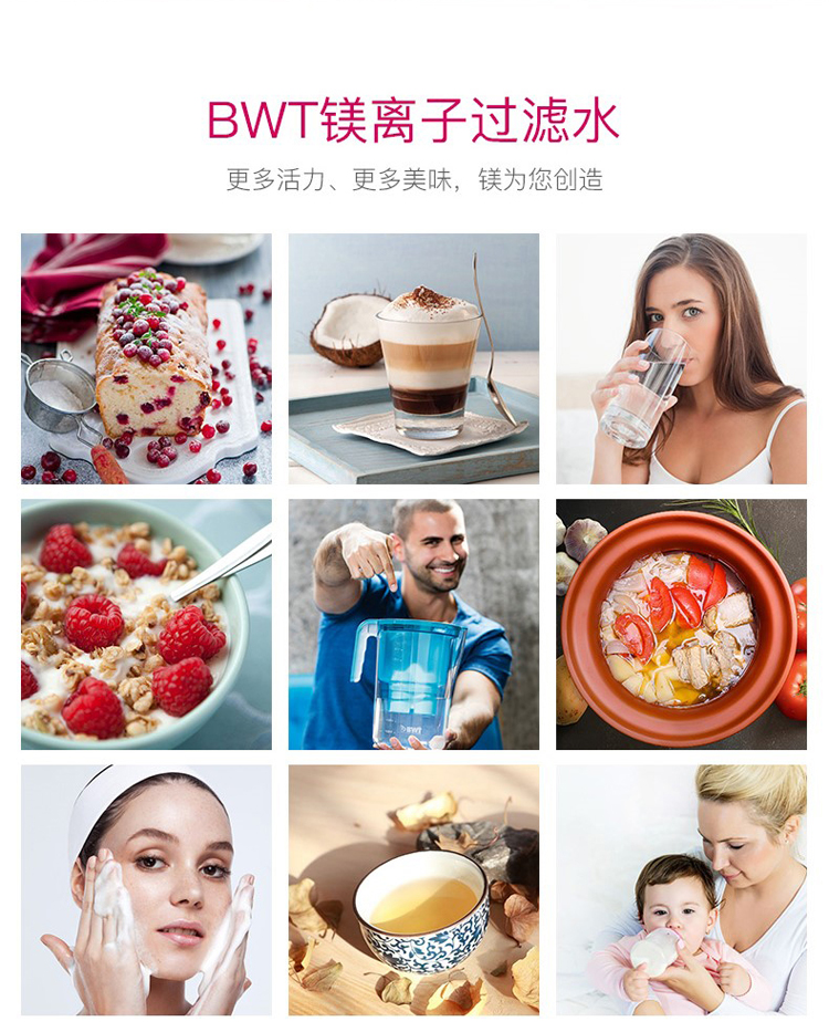 BWT镁离子滤芯