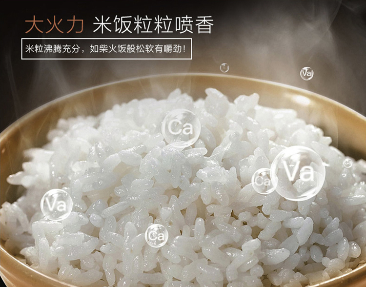 Miji 米技微电脑电饭煲 ECG-104L