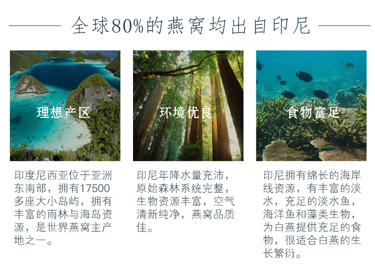 吴麓山堂特级燕盏19A 50g