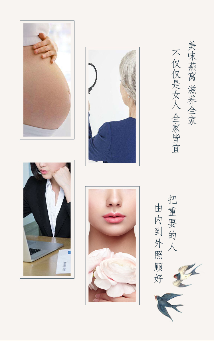 吴麓山堂特级燕盏19A 50g