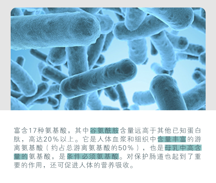 维您小麦肽固体饮料