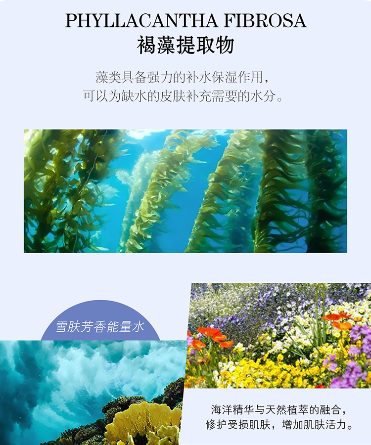 焕颜菁纯高保湿面膜