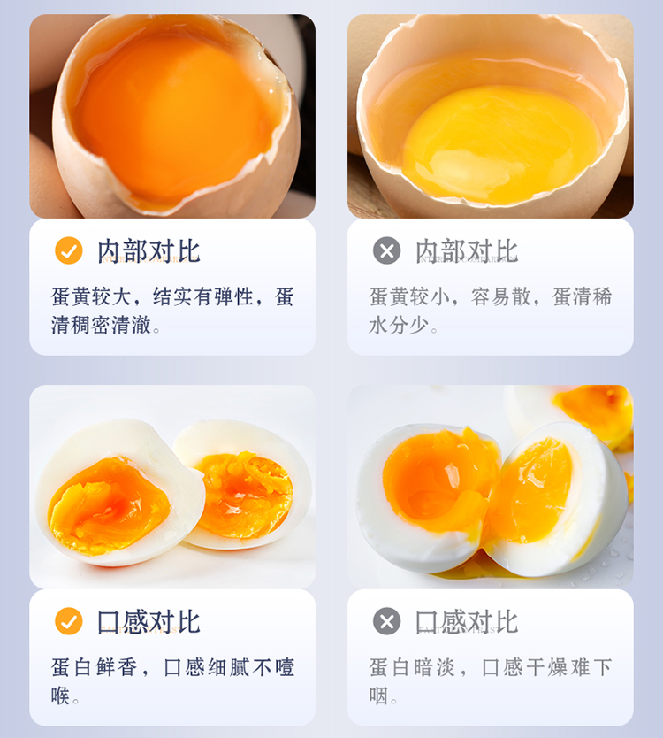 吴麓山堂乌骨鸡鸡蛋（24枚）