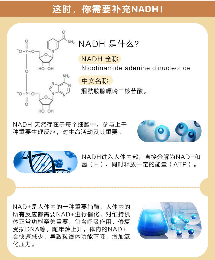 维您Panmol NADH酵母压片糖果 