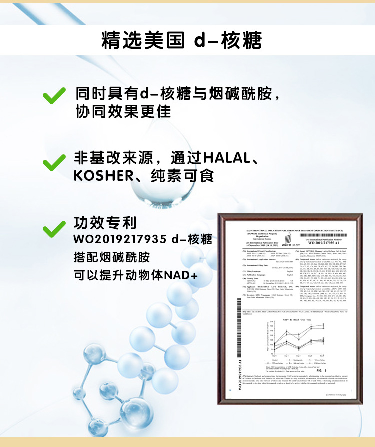 维您Panmol NADH酵母压片糖果 