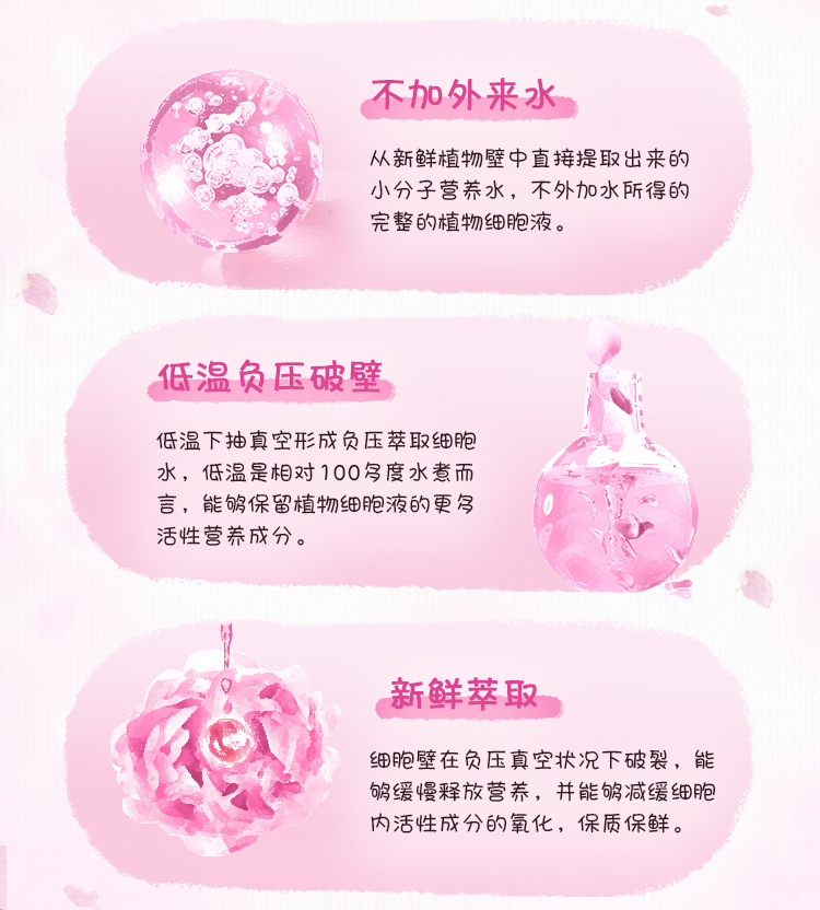 秘密花园®玫瑰鲜活水