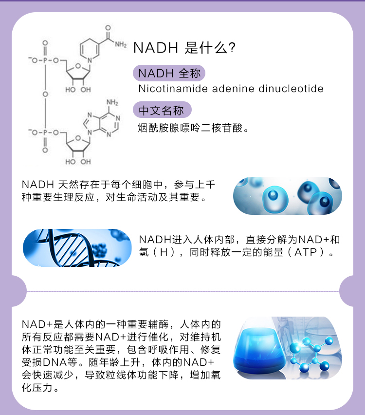 维您Panmol NADH酵母压片糖果